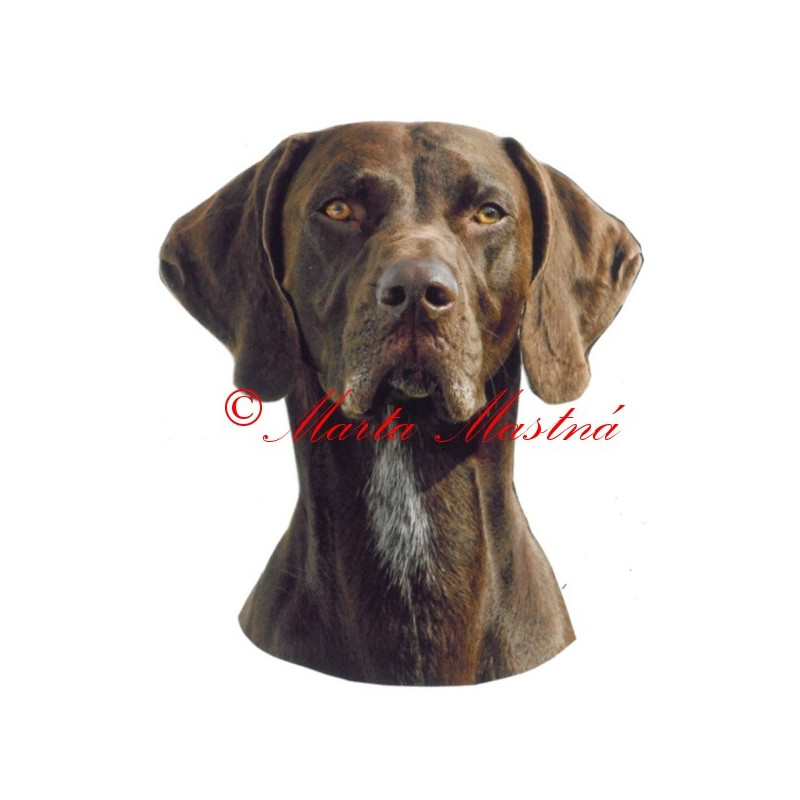 Samolepka německý krátkosrstý ohař