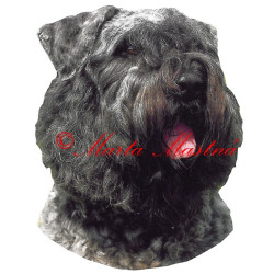 Samolepka flanderský bouvier