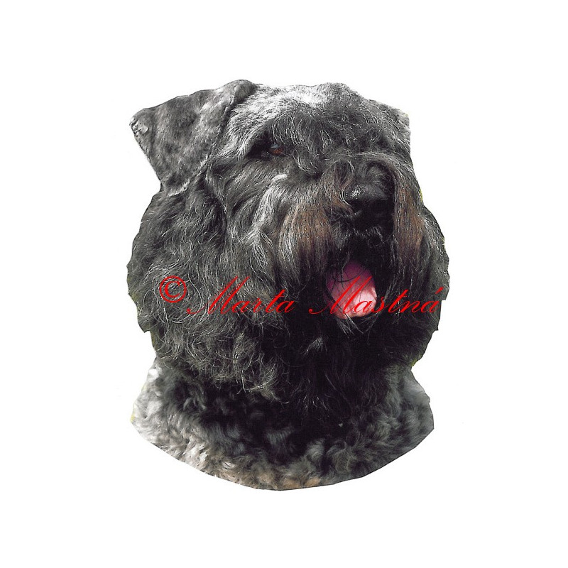 Samolepka flanderský bouvier