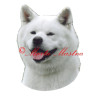 Samolepka akita inu