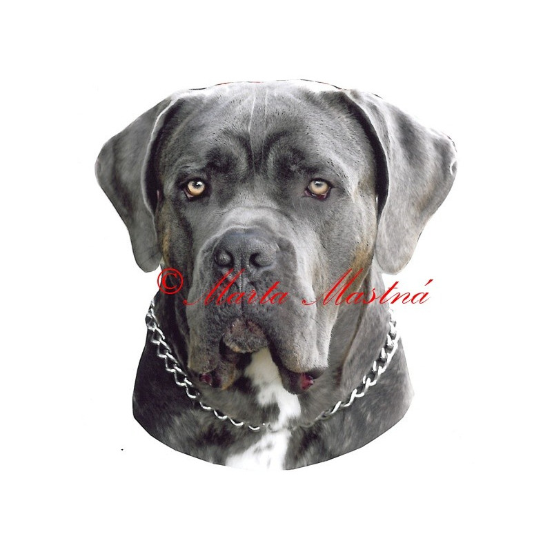 Samolepka cane corso