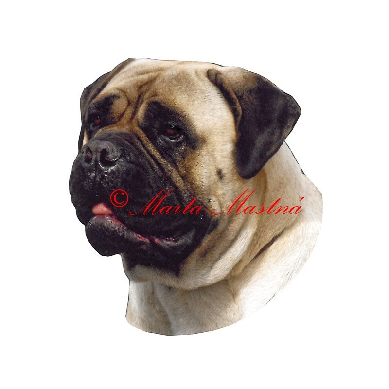 Samolepka bulmastif