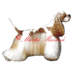 Samolepka americký kokršpaněl