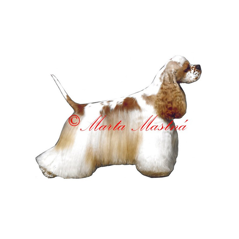 Samolepka americký kokršpaněl