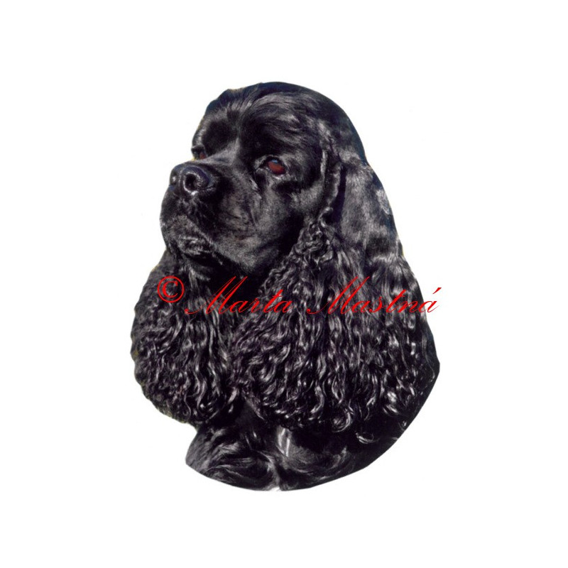 Samolepka americký kokršpaněl