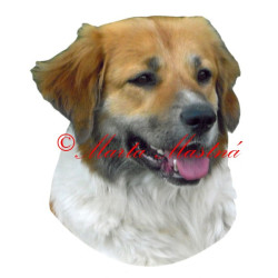 Samolepka český horský pes