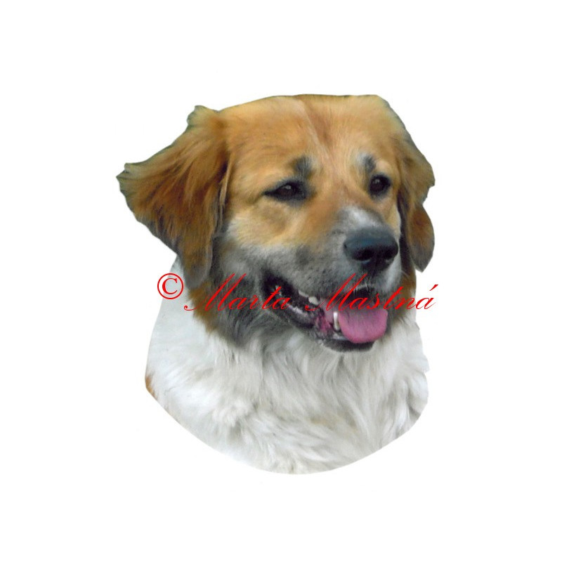 Samolepka český horský pes