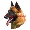Samolepka belgický ovčák malinois