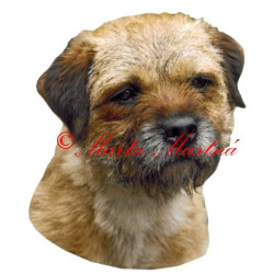 Samolepka border teriér