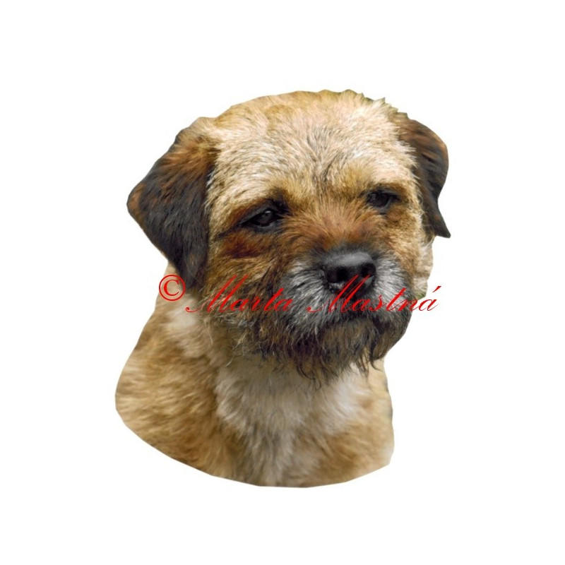 Samolepka border teriér