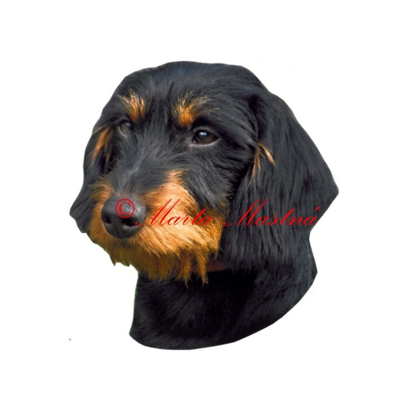 Samolepka jezevčík