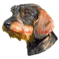 Samolepka jezevčík