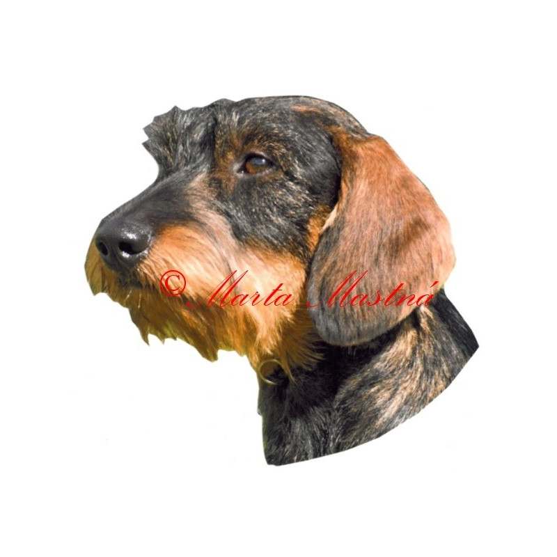 Samolepka jezevčík