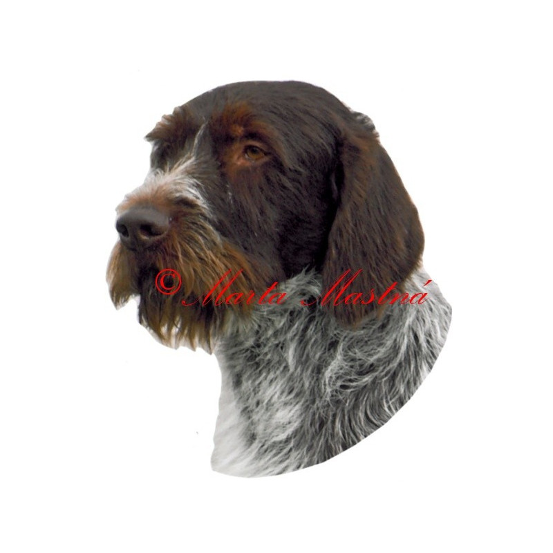 Samolepka český fousek, ohař