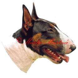 Samolepka bulteriér