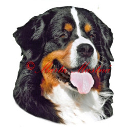 Samolepka bernský salašnický pes