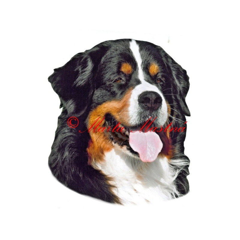 Samolepka bernský salašnický pes