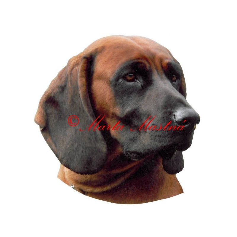 Samolepka bavorský barvář