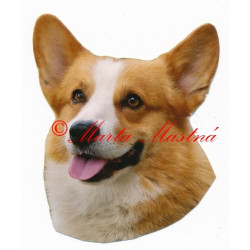 Samolepka velškorgi