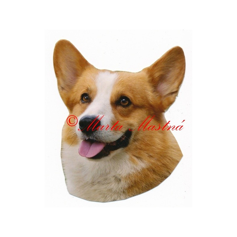 Samolepka velškorgi