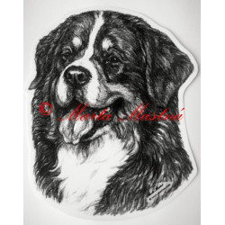 Bernský salašnický pes