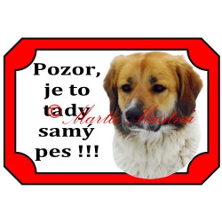 Tabulka český horský pes