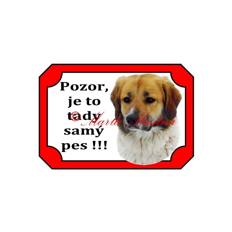 Tabulka český horský pes