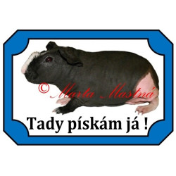 Tabulka morče skinny