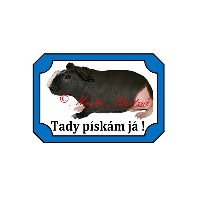 Tabulka morče skinny