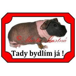 Tabulka morče skinny