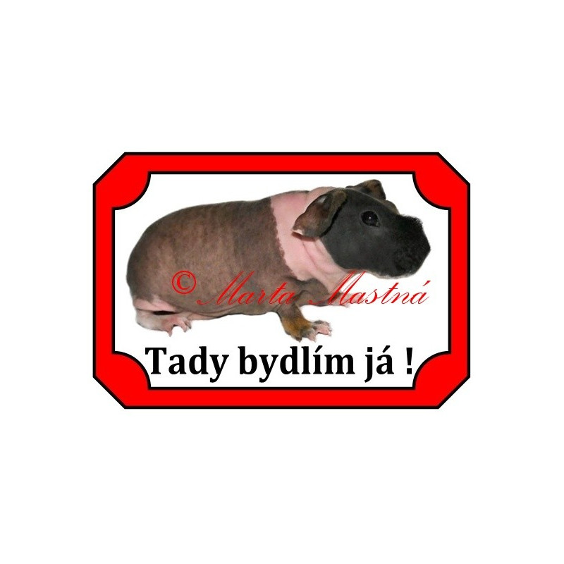 Tabulka morče skinny