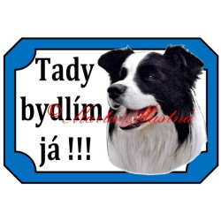 Tabulka border kolie