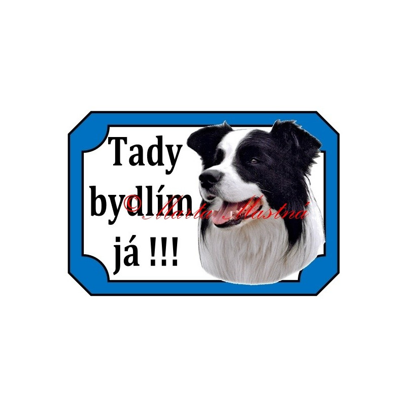 Tabulka border kolie