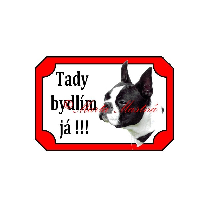 Tabulka boston teriér