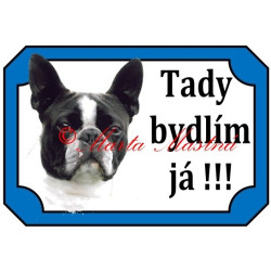 Tabulka boston teriér