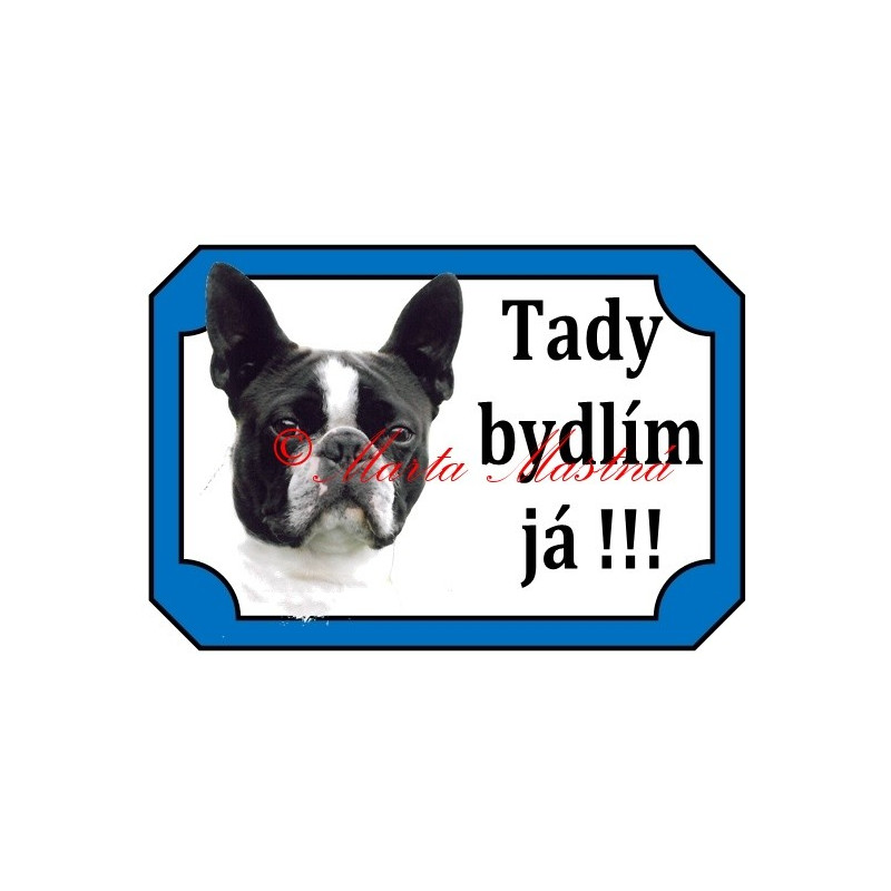 Tabulka boston teriér