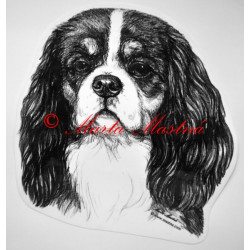 Kavalír king Charles španěl