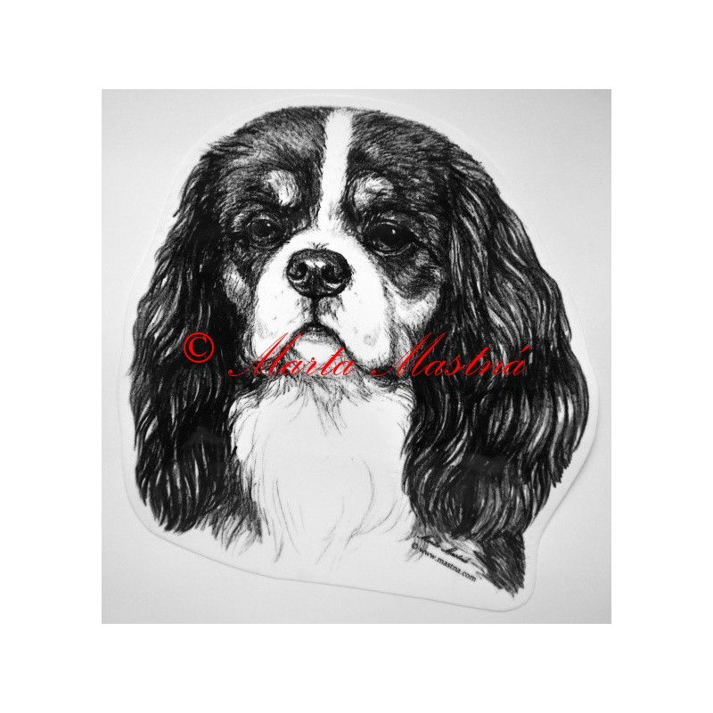 Kavalír king Charles španěl