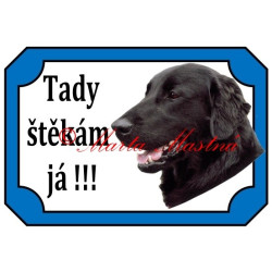 Tabulka flat coated retrívr