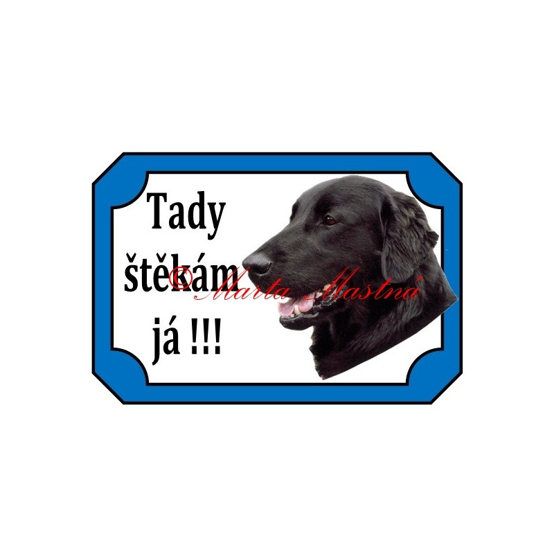 Tabulka flat coated retrívr