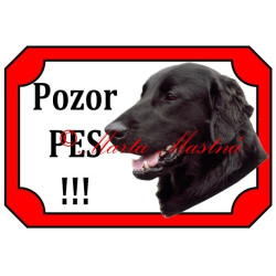 Tabulka flat coated retrívr