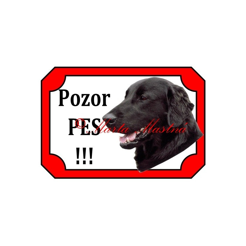 Tabulka flat coated retrívr