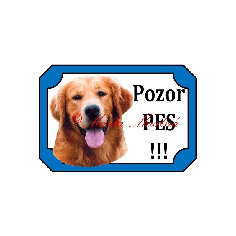 Tabulka zlatý retrívr, golden