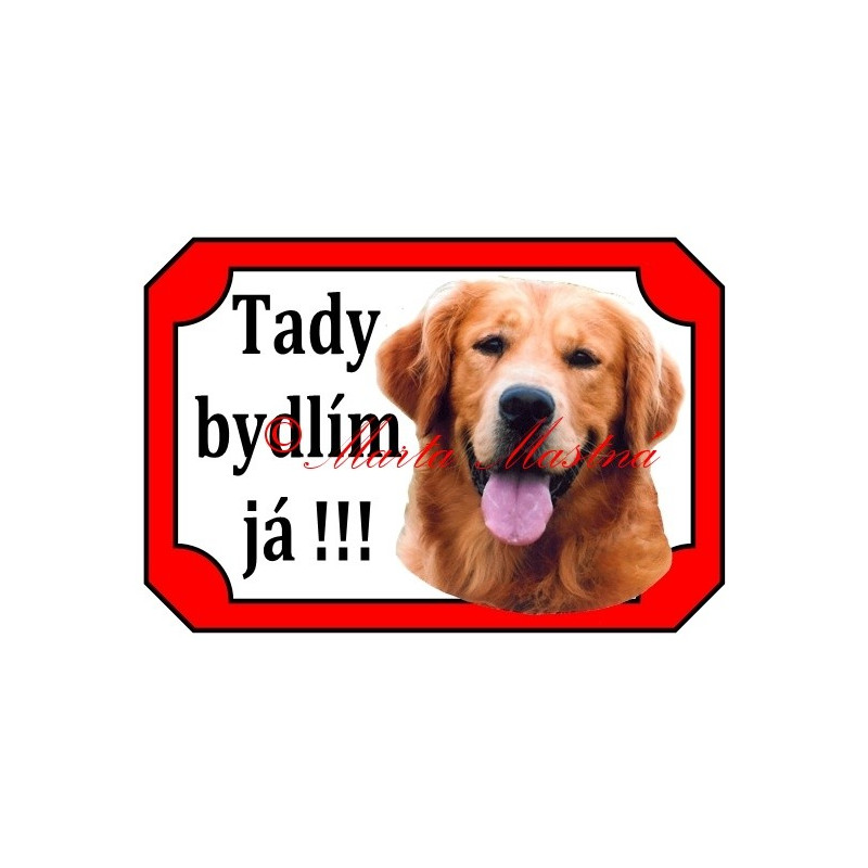 Tabulka zlatý retrívr, golden