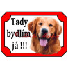 Tabulka zlatý retrívr, golden