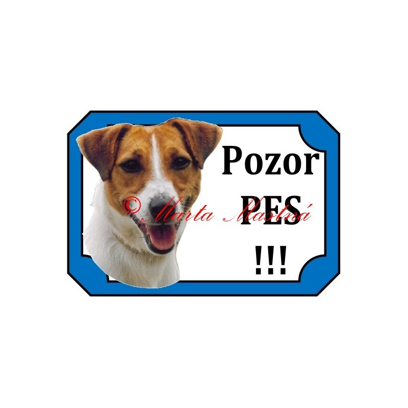 Tabulka Parson, Jack Russel teriér