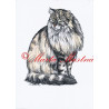 Autorský tisk kočka sibiřská