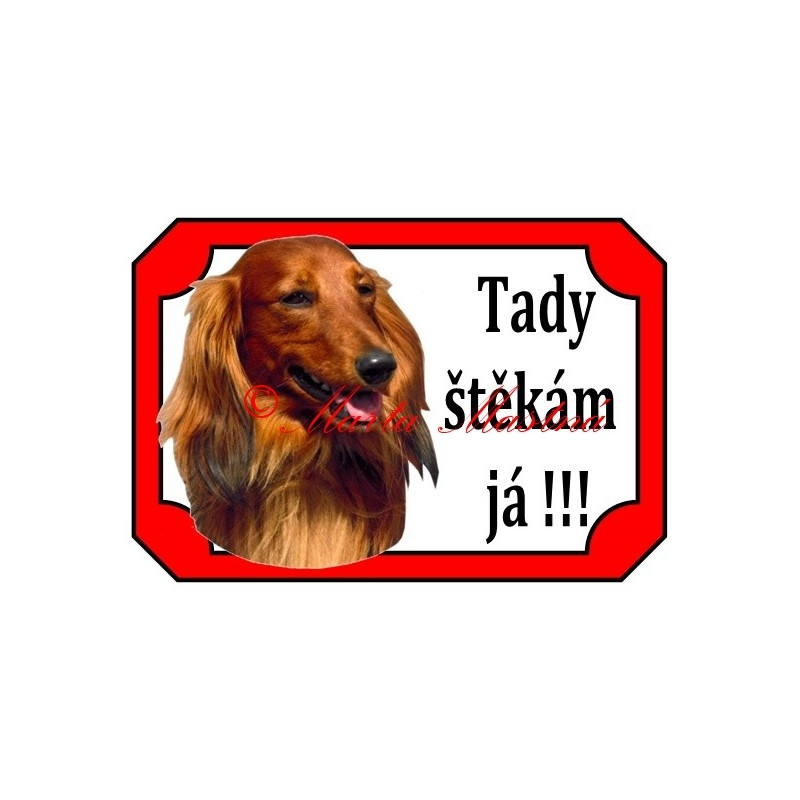 Tabulka jezevčík dlouhosrstý