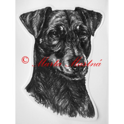 Německý lovecký teriér - jagdteriér