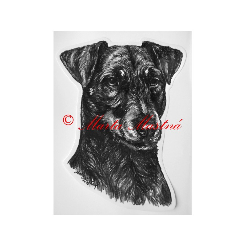 Německý lovecký teriér - jagdteriér